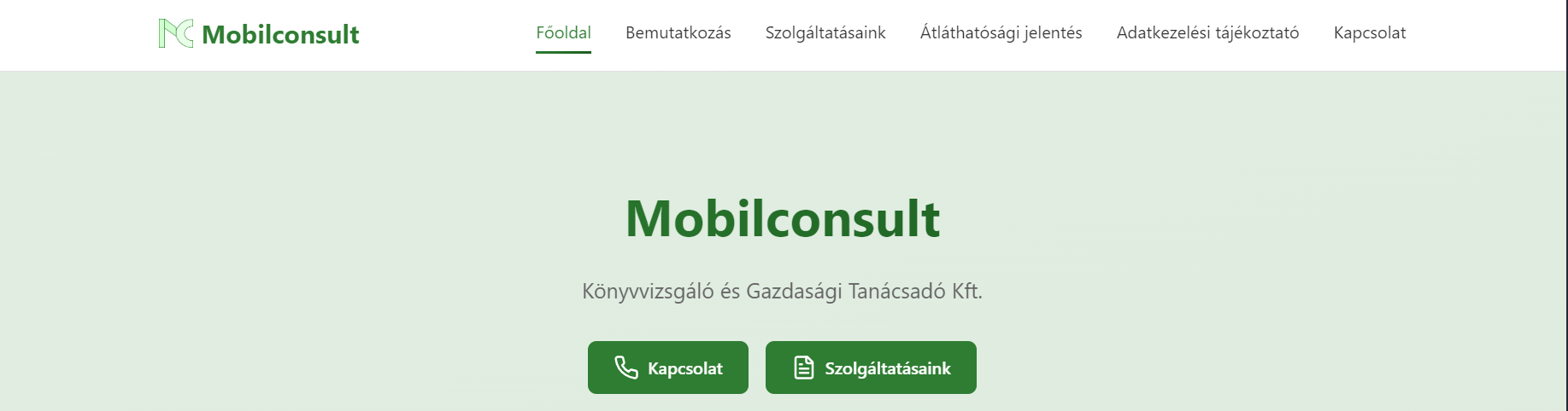 Mobilconsult Website